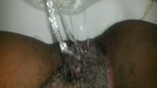 Hairy ebony has diarheea