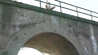 Mix of hot girls that are peeing and pooping