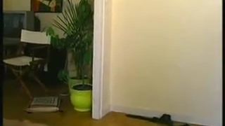 Shit and piss submission from blonde mistress