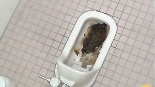 Huge pile of fresh turds in a public bathroom