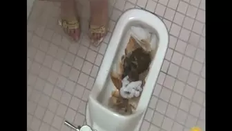 Search Results for Huge pile of fresh turds in a public bathroom