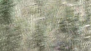 Sexy woman shitting on the ground outdoor