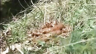 Sexy teen shitting in the middle of a forest