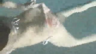 Two lesbians farting in the pool