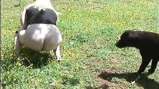 Fat blonde shitting into a public park