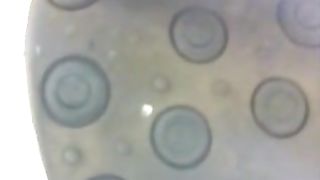 Brunette babe with curly hair shitting