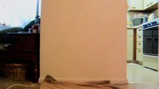 American blonde pooping in grey undies