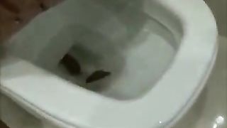 Sexy girl with tan lines pooping in reverse position