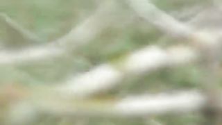 Hiding her face while shitting in a forest