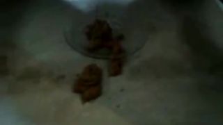 BBW brunette proud of her fresh shit