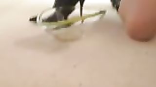 Do you want to lick her ass