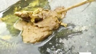 Asian teen ran after she was caught pooping