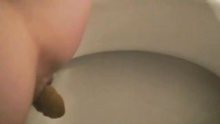 Chubby woman pooping in a restaurants bathroom