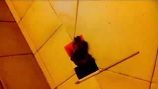 Sexy teen shitting on different flags