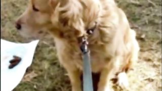 Sexy teen shitting on different flags