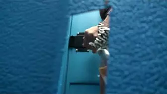Search Results for Sexy girl shitting in nature at a rock festival