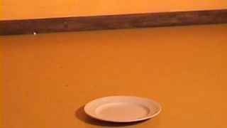 Hot brunette pooping liquid shit on a plate