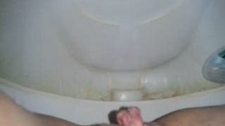 Big load dropped in the toilet