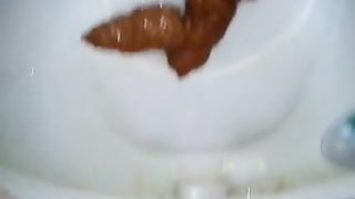 Big load dropped in the toilet