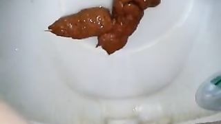 Big load dropped in the toilet