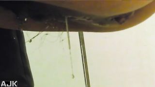 Japanese 18 year old caught pooping in public bathroom