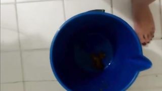 Amateur brunette teen eating shit on live webcam