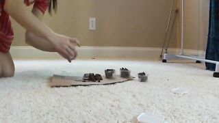 Sexy teen prepared scat dinner for boyfriend