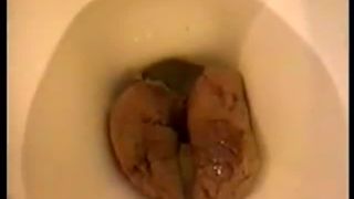 Sexy babe dropped a huge brown turd in toilet