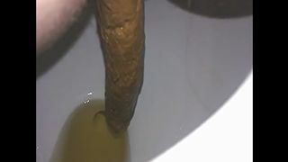 Long brown turd from horny wife