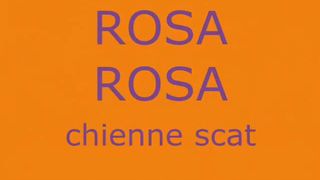 Dirty wife sucking dirty dick