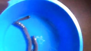 Sexy slut records herself while pooping