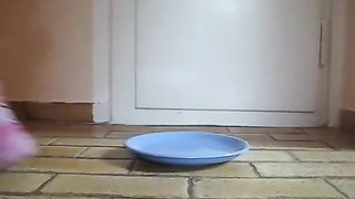 Horny brunette shitting on blue plate