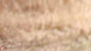 Office lady did a mess in her panties