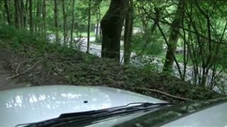 Shitting on boyfriends car