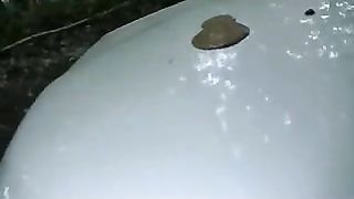 Shitting on boyfriends car