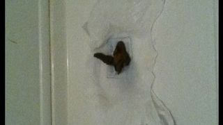 Hairy chubby wife pooping in toilet