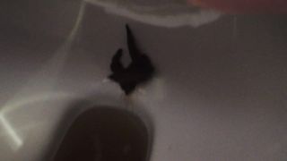 Little sister pooping three times in same video