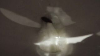 Fat girl did a mess in toilet