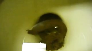 Hot teen shitting over toilet