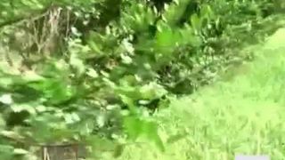 Hot Japanese girls shitting in the streets