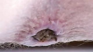 Blonde hottie pooping a big brown turd