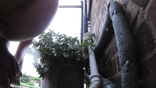 mon doing poop in wild