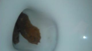 Sexy wife dropped a big turd