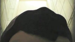 Hairy girl shitting in public bathroom