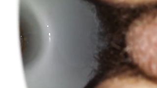 Hairy wife shitting in toilet