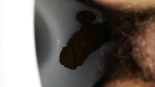 Hairy wife shitting in toilet