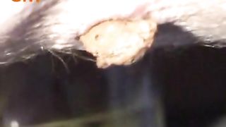 Natural turd outdoor