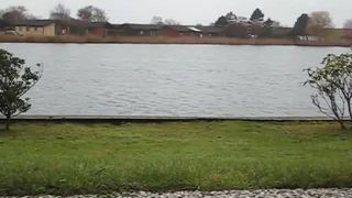 Tattooed babe shitting outdoor