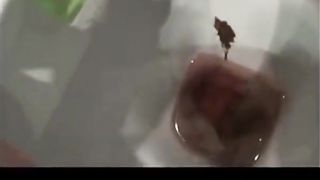 Very sexy wife shitting in toilet