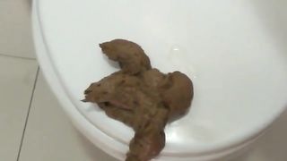 Slut eating fresh shit from a public bathroom